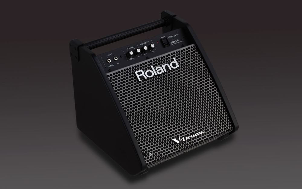 картинка Roland PM-100 от магазина Multimusic