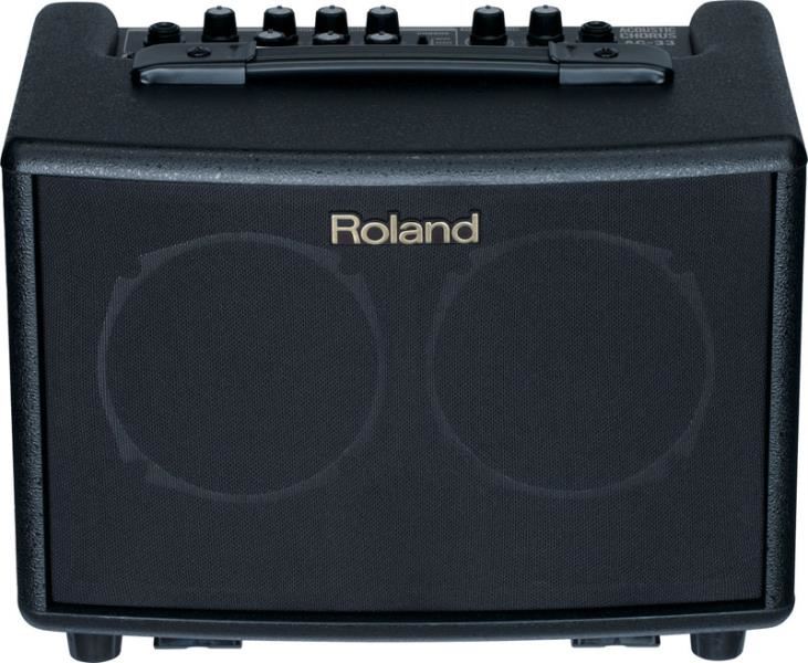картинка Roland AC-33 от магазина Multimusic