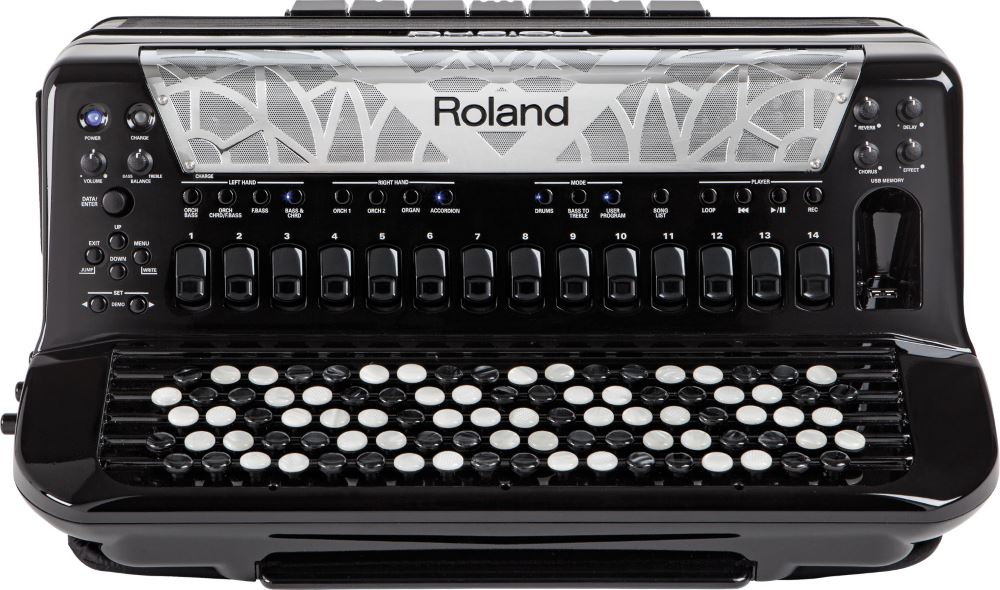 картинка Roland FR-8XB BK от магазина Multimusic