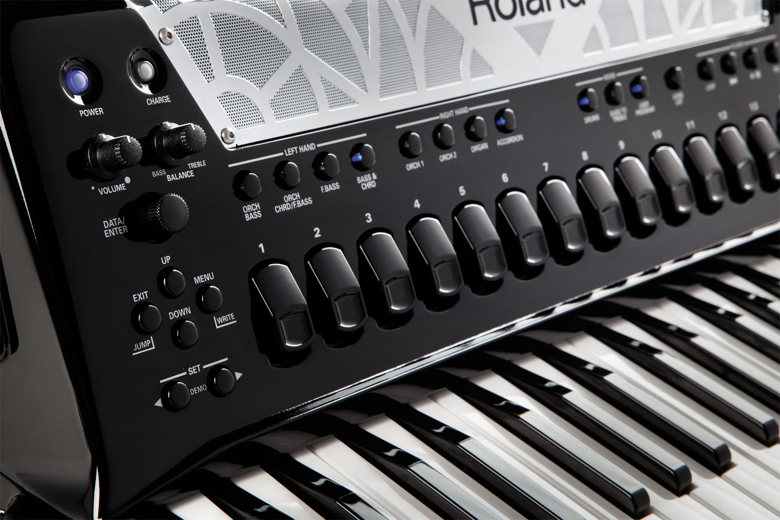 картинка Roland FR-8X BK от магазина Multimusic