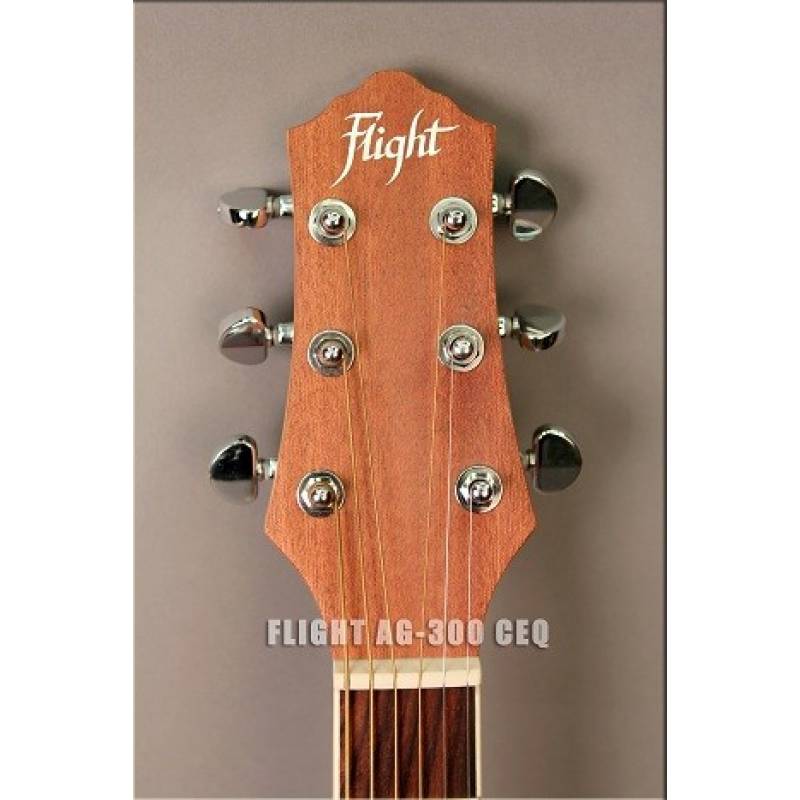 картинка Flight AG-300 CEQ NS от магазина Multimusic
