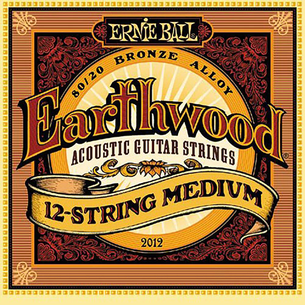 картинка Ernie Ball 2012 Earthwood 12-string Medium 11-52 от магазина Multimusic
