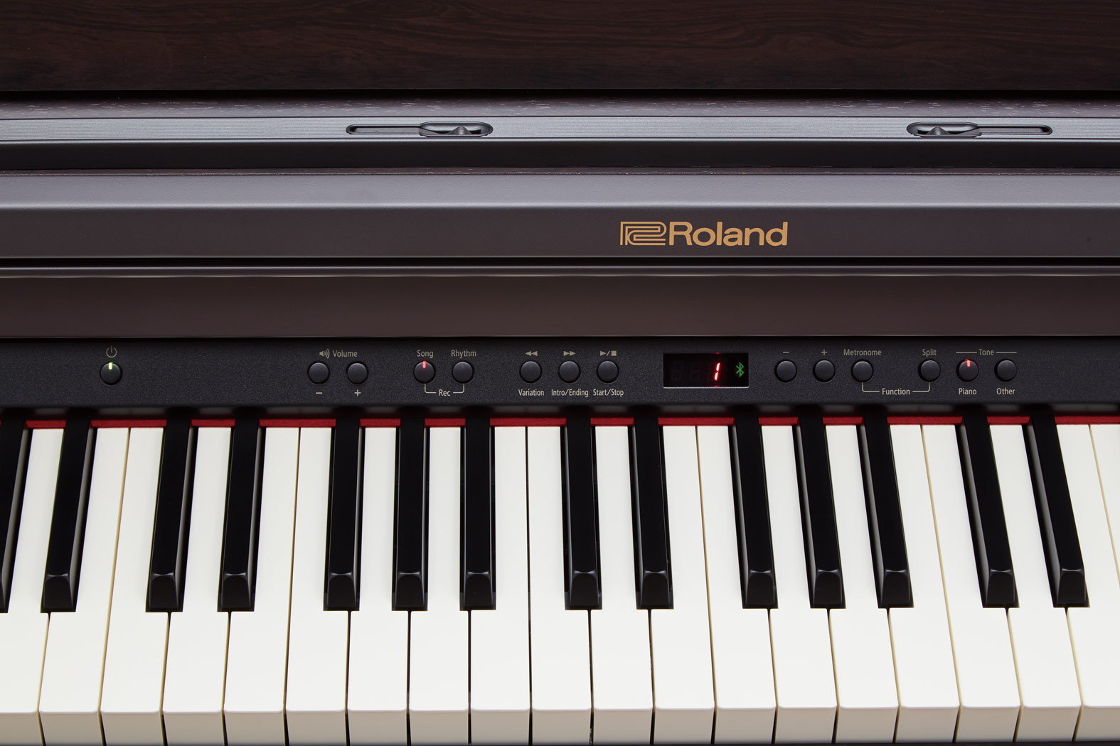 картинка Roland RP501R CB от магазина Multimusic
