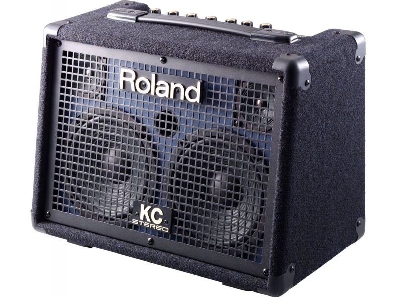картинка Roland KC-110 от магазина Multimusic