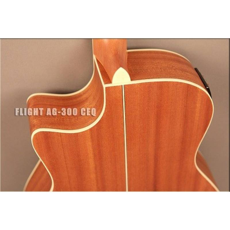 картинка Flight AG-300 CEQ NS от магазина Multimusic